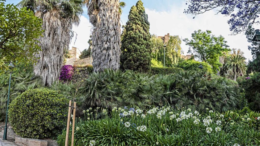 Jardines de Puerta Oscura: belleza verde en Málaga 3 Jardin puerta oscura 3