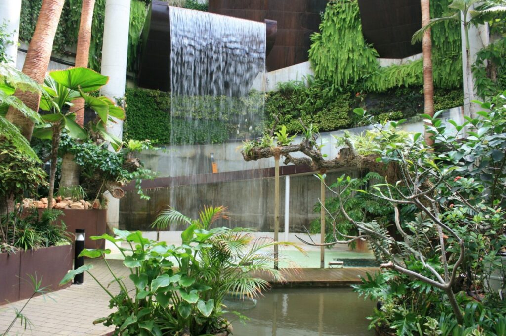 Parque Botánico Estepona: Flora diversa. 3 Parque Botanico Estepona que ver en estepona