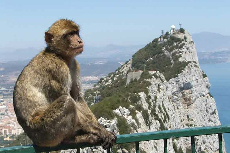 Wird für Gibraltar ein Reisepass benötigt?