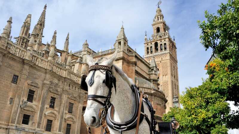 Dónde comer en Sevilla: Los mejores lugares para disfrutar de la gastronomía local 8 Kathedrale von Sevilla